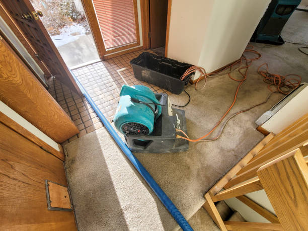 Best 24-hour water damage restoration  in Ocean Shores, WA