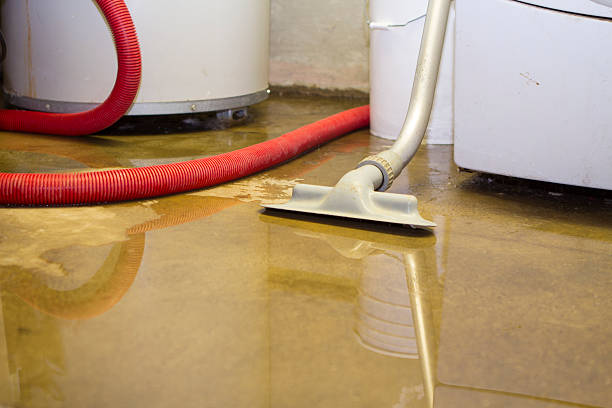 Best Water damage restoration insurance claims  in Ocean Shores, WA