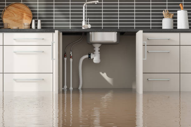 Best Commercial water damage restoration  in Ocean Shores, WA